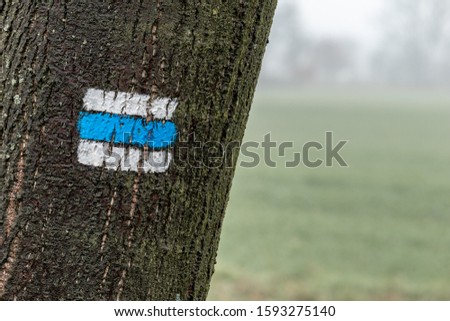 tourist Mark on the tree