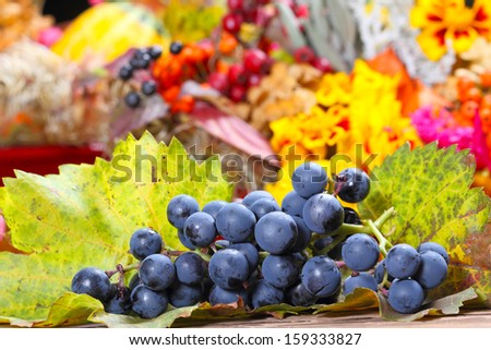 Grapes on vine leaves
