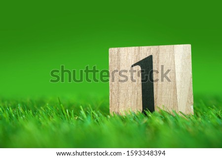 Number 1 (one) symbol on a wooden cube lying on a green grass