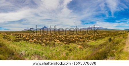 Picture of Mount Ngauruhoe and Mount Ruapehu in the Tongariro National Park on northern island of New Zealand in summer