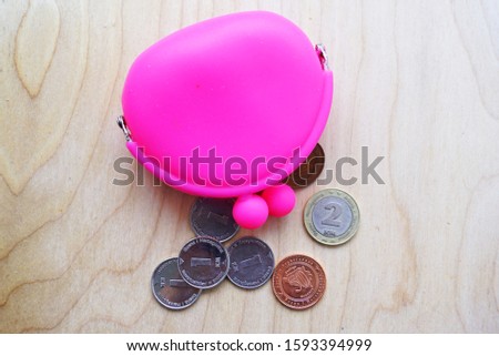 Pink wallet and coins of Bosnia and Herzegovina on a light wooden background.                             
