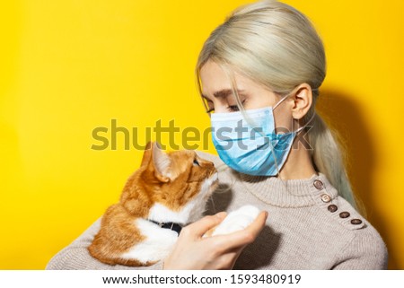 Close-up studio portrait of young girl, veterinar with red white cat in hands, wearing medical mask on yellow background. Look into each other's eyes.