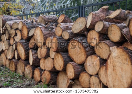 cutted logs ready for fireplace