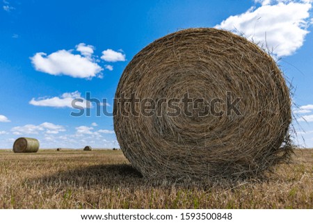 Low angle and close up picture of a round bale of hay in a field, bright blue sky with scattered clouds in the background.