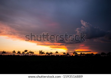 Everglades National Pak Sunset, Florida, United States.
