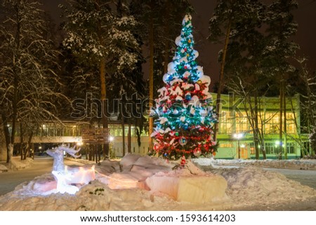 New Year tree in the park on a winter night