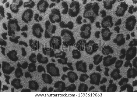 Black and white leopard fur
