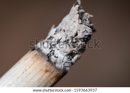 embers on a cigarette, macro photography with blurred background
