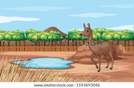 Scene with alpaca in the zoo illustration