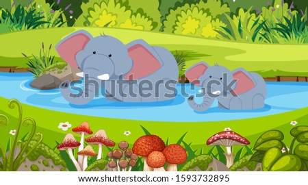 Background scene with two elephants in the pond illustration