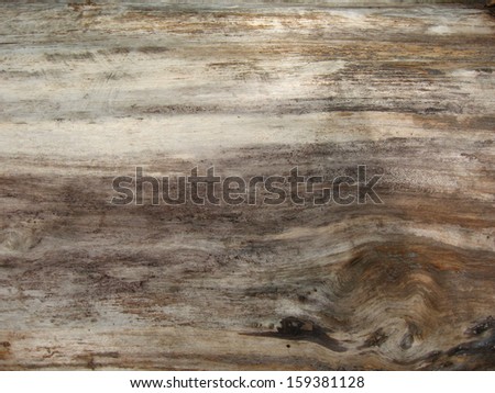 Close-up fine orange wood texture background