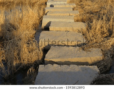 Closeup of sunlit rectangular stepping stones leading across a low-rise creek, surrounded by dry winter grasses, in afternoon light