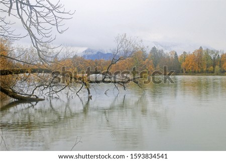 Photo taken in the city park of the city of Salzburg. The picture shows the autumn landscape of a lake in the mountains.
