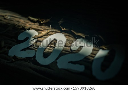 
2020 new year background.wooden back ground.
2020, made of paper