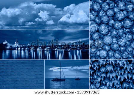 Trendy Collage banner toned in classic blue - color of the 2020 year. Modern Collage with berries, leaves, yacht, sea and sky toned in blue