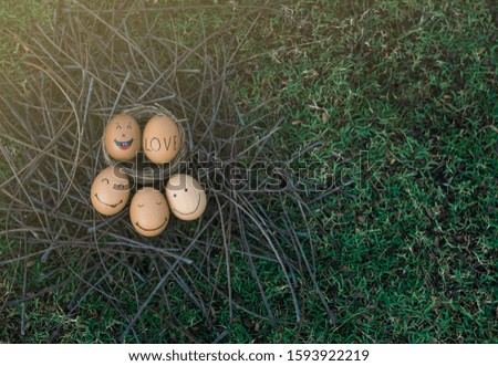 The happy face of eggs on Easter day and grass background.