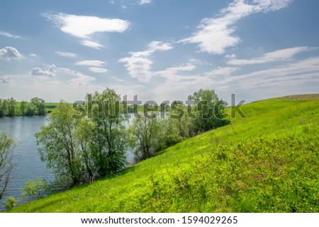 Willow overgrown lake, bright greenery, blue sky with clouds, great spring mood