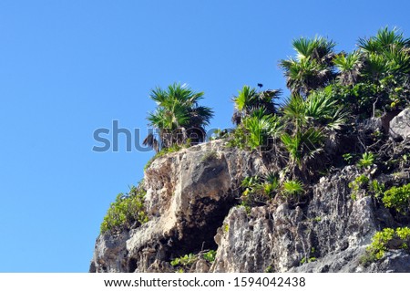 A Cliff located at the Tulum Ruins in Mexico. There is a selfie stick seen from behind the palms.