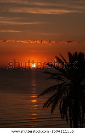 Beautiful sunrise or sunset peaceful nature background. Golden sky, sea water, orange sun and black silhouettes of green plam trees. Vertical color photography.