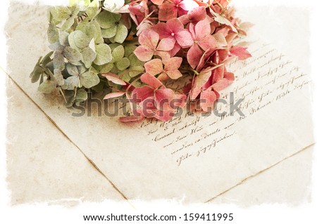 old manuscript and hortensia flowers. romantic vintage style background. selective focus