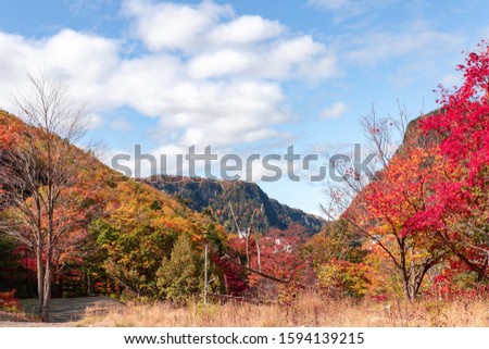 beautiful autumn leaves of taisetsu mountain