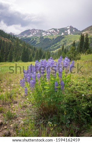 Colorado Front Range Alpine Valley 
