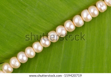 Pearls on a background of green banana leaves.