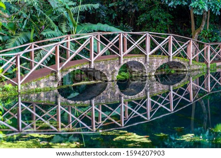 Arched bridge on a lake with reflection, Tanzania, east Africa. Footbridge over a pond