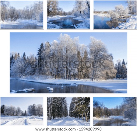 Winter solar Park . Alleys of the Park. Nature. Winter nature. Winter pictures. Snow. Landscape. Collage.