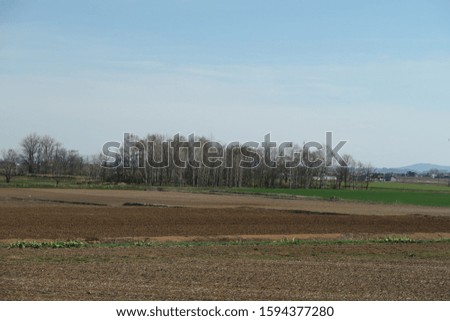 Countryside field in Hokkaido, Japan