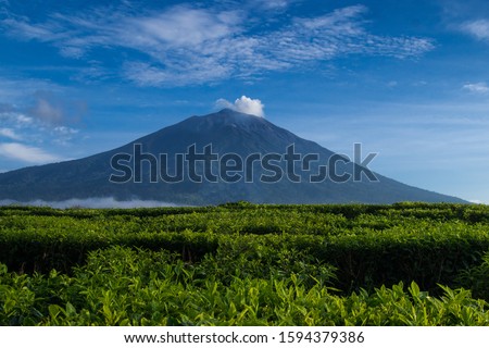 the highest peak of volcanoes mountain in south east asia, Mount Kerinci, surrounding by tea plantation in kayu Aro, Jambi, Sumatera, Indonesia. Royalty-Free Stock Photo #1594379386