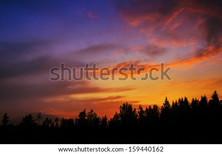 saturated multicolored sky over dark forest edge