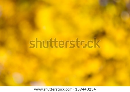 Autumn bright bokeh background. Natural beauty background.
