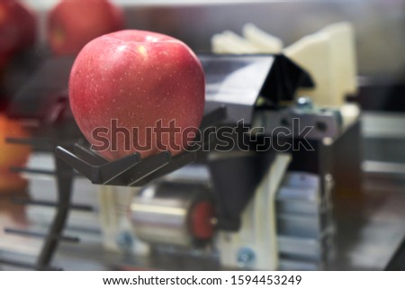 Apple in a packing machine. Labeling apparatus.