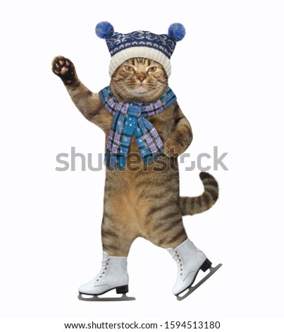 The beige cat with a raised paw dressed in a blue knitting hat and a scarf is skating. White background. Isolated.