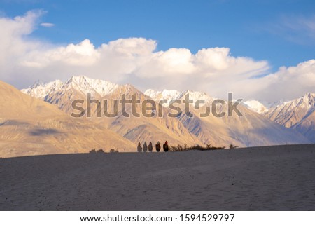 A group of people enjoy riding a camel walking on a sand dune in Hunder, Hunder is a village in the Leh district of Jammu and Kashmir, India. Royalty-Free Stock Photo #1594529797