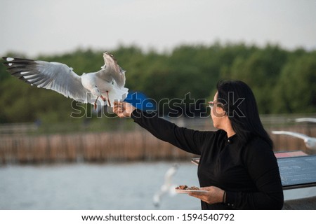 Seagulls flying hovering food on the hand