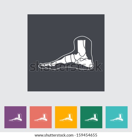 Foot anatomy flat icon.
