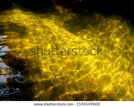 Water texture on lotus pond with green moss at the bottom of pond as the background with sunlight reflection on water surface.
Abstract background for backdrop background.