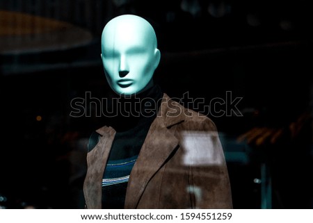 Mannequin in the window of a fashion boutique