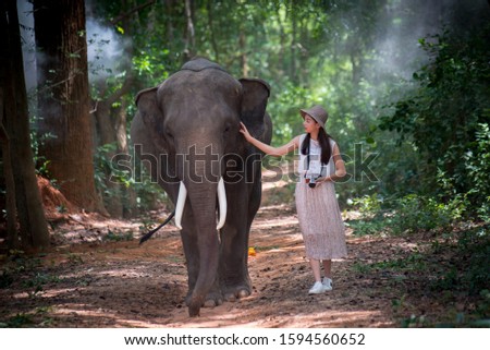Young woman tourist is walking with cute elephant that the local villagers feeds them for show and tourist can take pictures with them when come to visit the elephants at the village.