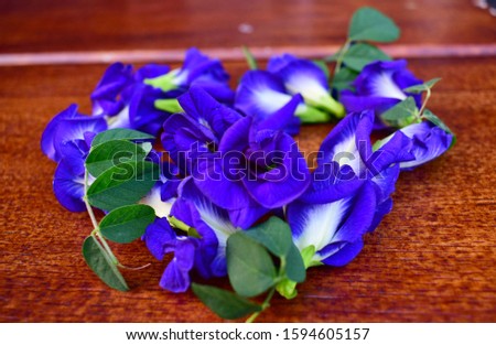 beautiful butterfly clitoria ternatea on a wooden background