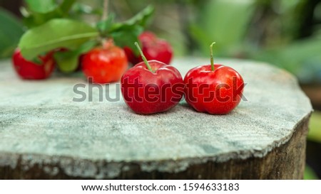 Cherry Thai or Acerola cherries fruit on wooden, high vitamin C and antioxidant fruits. Selective focus.

