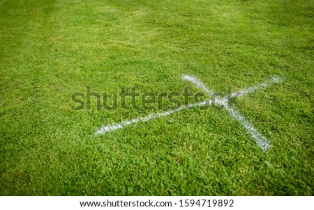 A white painted cross on green grass.