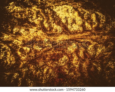 Luxurious looking gold background with structure