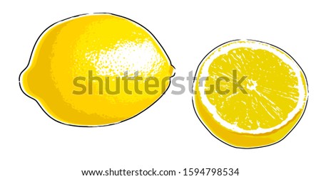 abstract fruit vector illustration with lemon