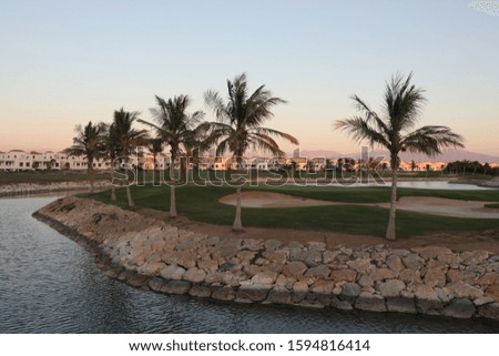 Golf course in the United Arab Emirates at sunset