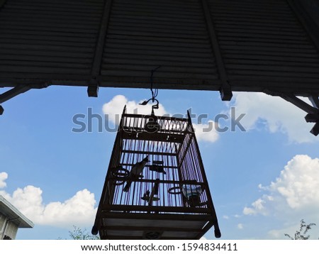 
A spotted bird in a wooden cage has a background sky.silhouette picture