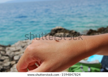 
A small grasshopper resting on girls  hand in the sun by the sea,with pronounced depth of field