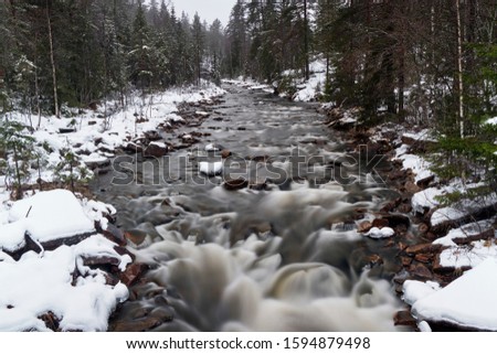 Mountain river runs in the pine forest during winter in Norway